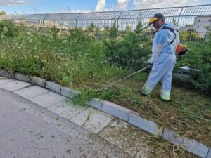 inserimento lavorativo - decoro urbano