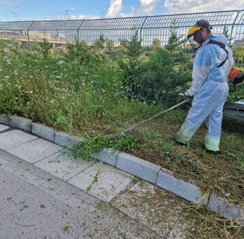 inserimento lavorativo - decoro urbano