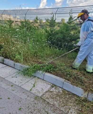 inserimento lavorativo - decoro urbano