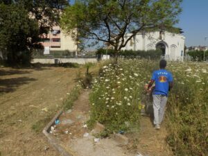 manutenzione del verde